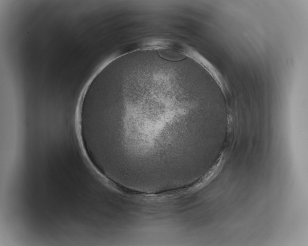 X0000102510859200808081409