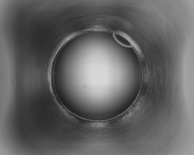 X0000102510861200808081409