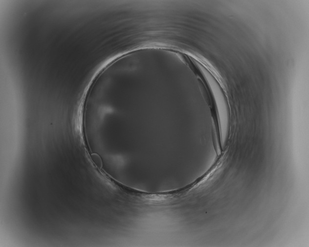 X0000102510862200808081409