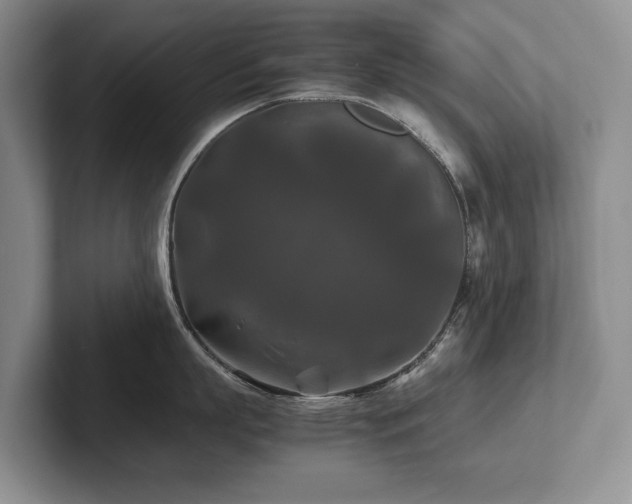 X0000102510863200808081409