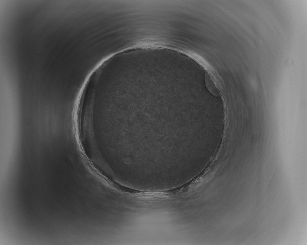 X0000102510864200808081409