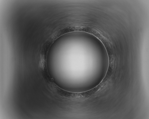 X0000102510866200808081408