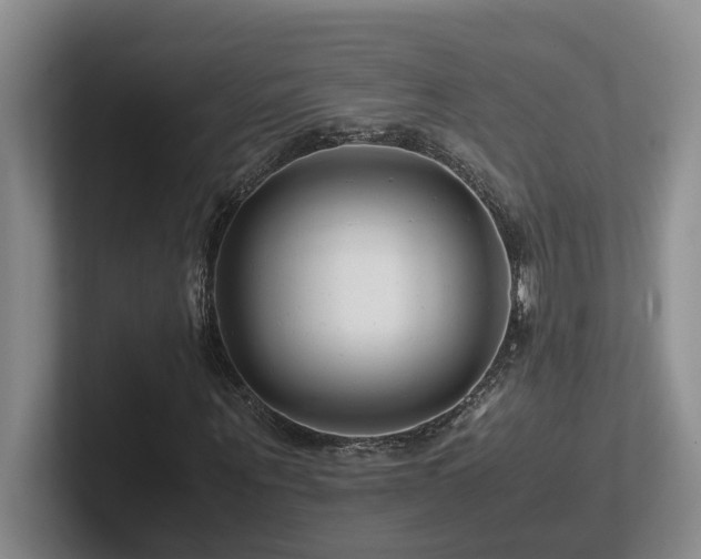 X0000102510867200808081408