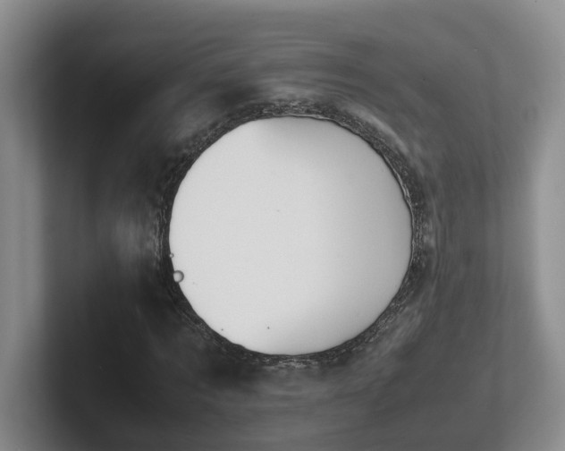X0000102510869200808081408