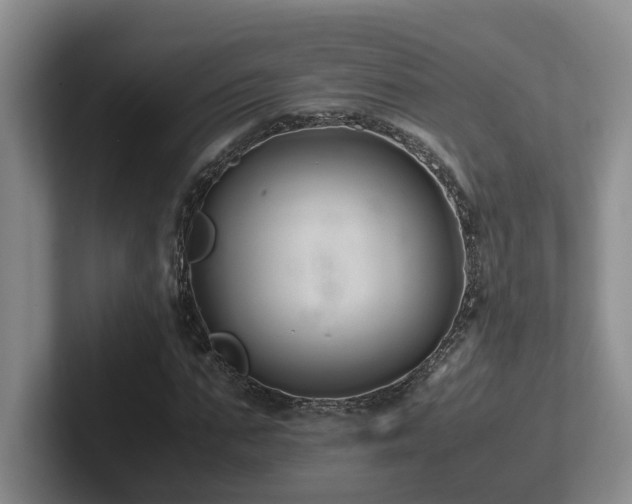 X0000102510871200808081408