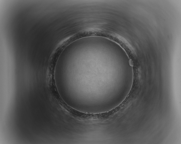 X0000102510872200808081408