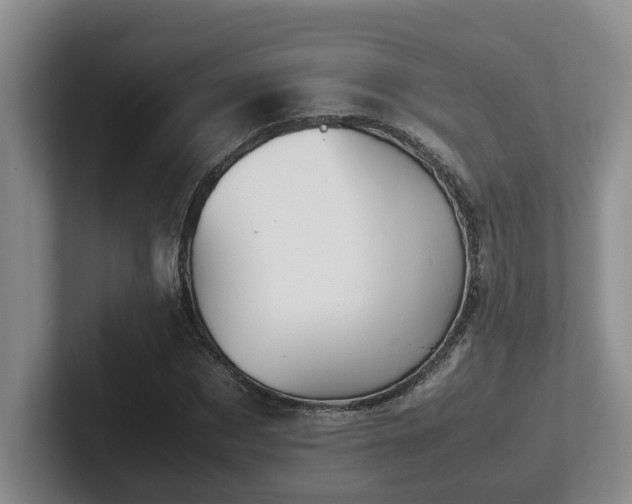 X0000102510873200808081408