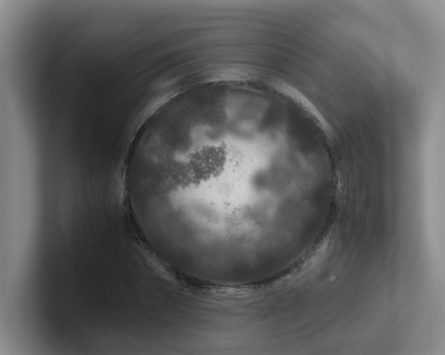 X0000102510874200808081408