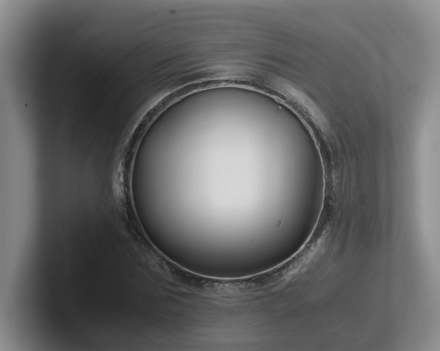 X0000102510875200808081408