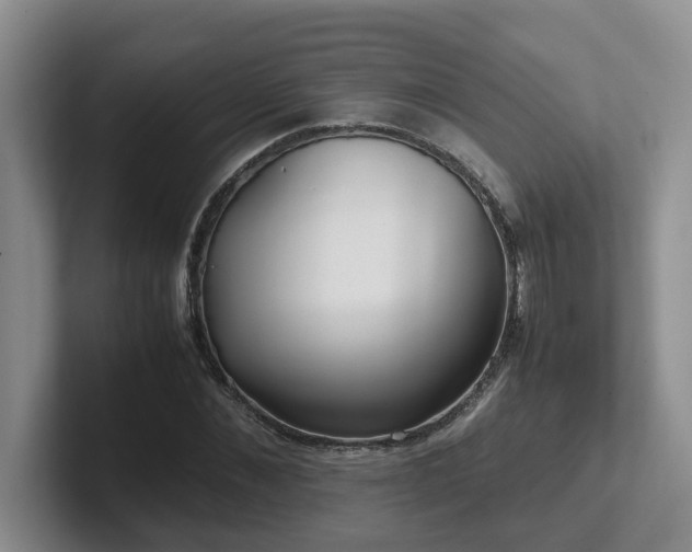 X0000102510876200808081408