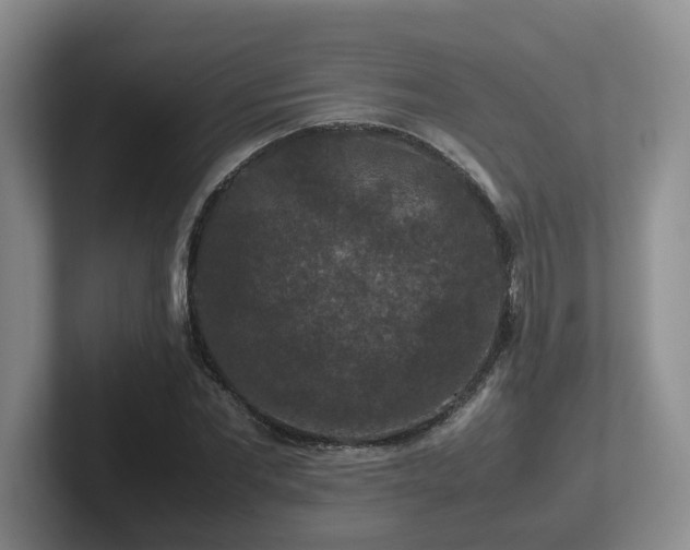 X0000102510877200808081408