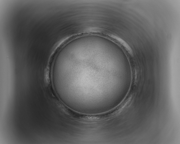 X0000102510878200808081408