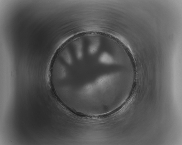 X0000102510879200808081408