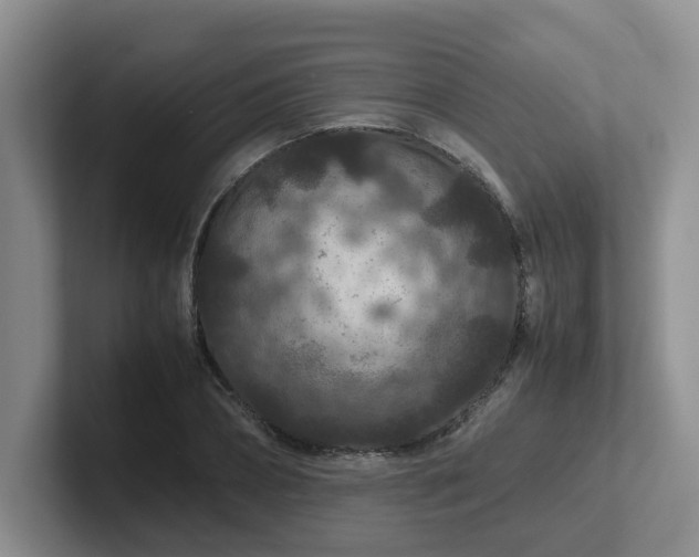X0000102510882200808081408