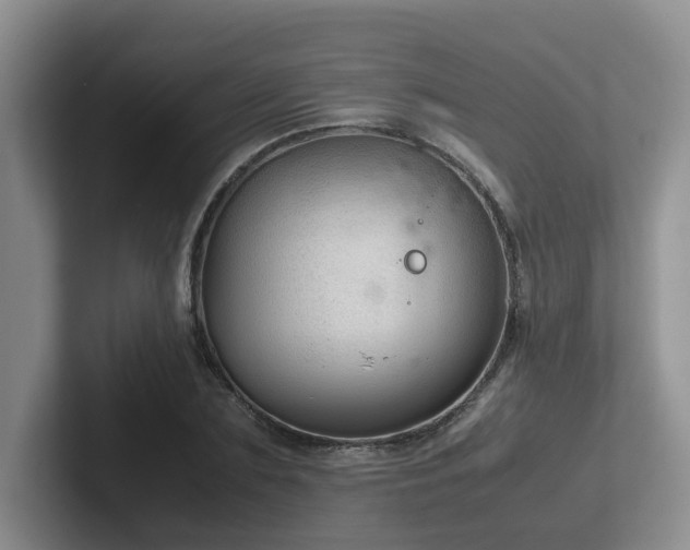 X0000102510883200808081408