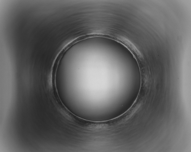 X0000102510884200808081408