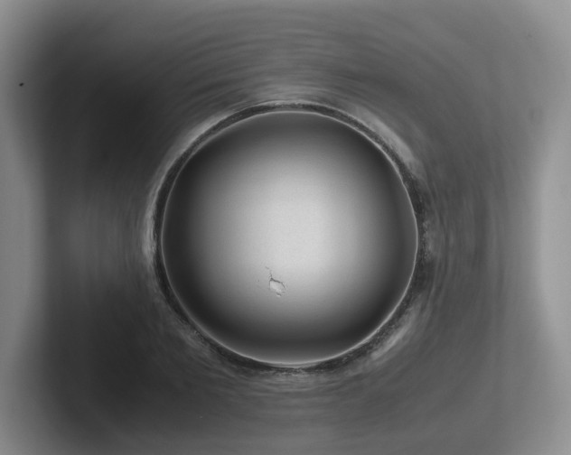 X0000102510885200808081408
