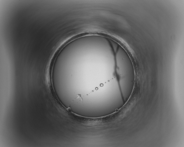 X0000102510887200808081408