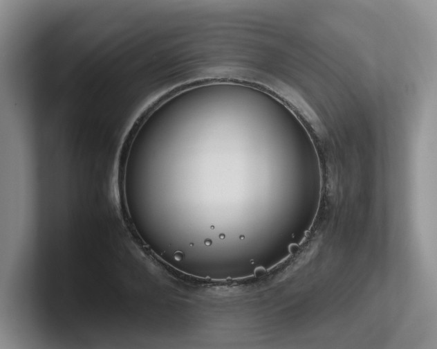 X0000102510888200808081408