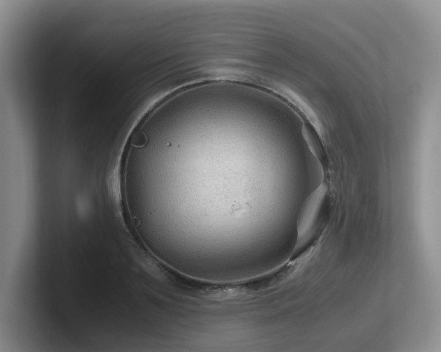 X0000102510891200808081408