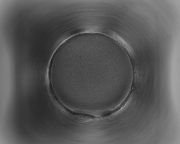 X0000102510892200808081408