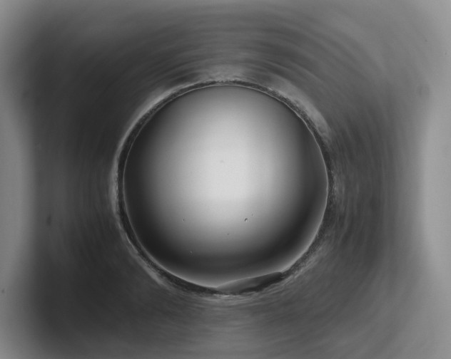X0000102510894200808081408