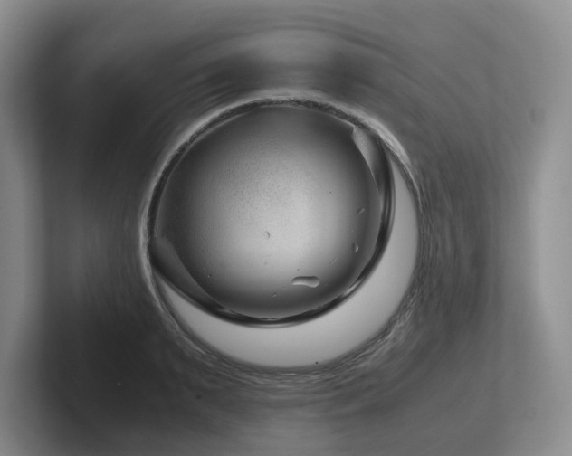 X0000102510895200808081408