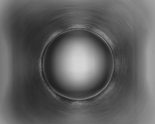 X0000102510898200808081408