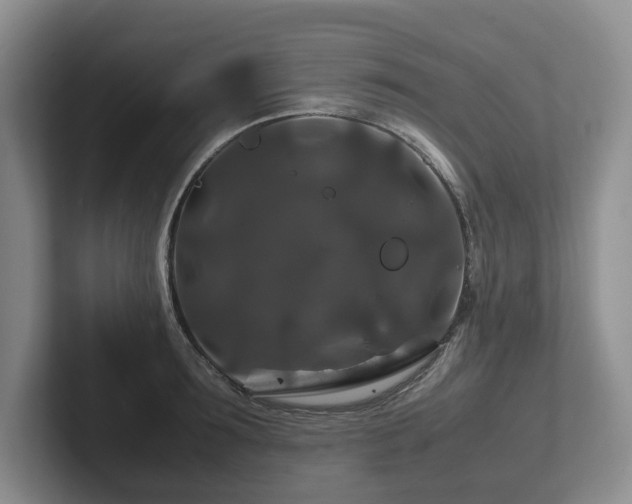 X0000102510899200808081408