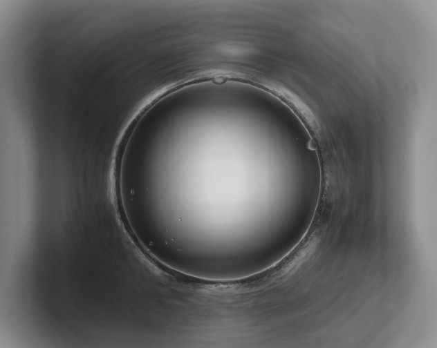 X0000102510902200808081408