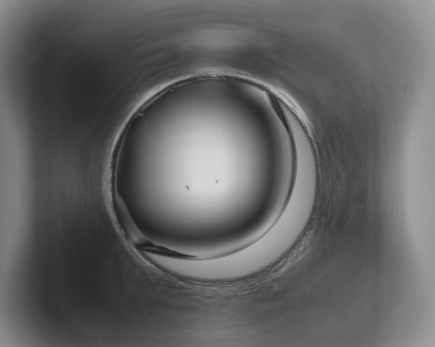 X0000102510903200808081407