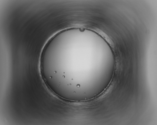 X0000102510904200808081407