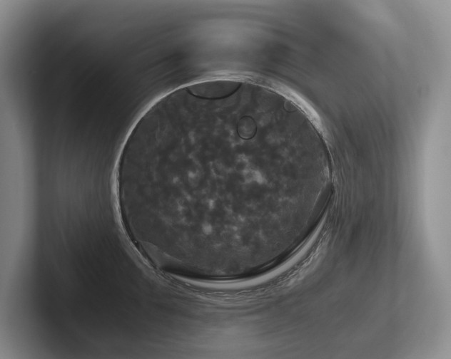 X0000102510907200808081407