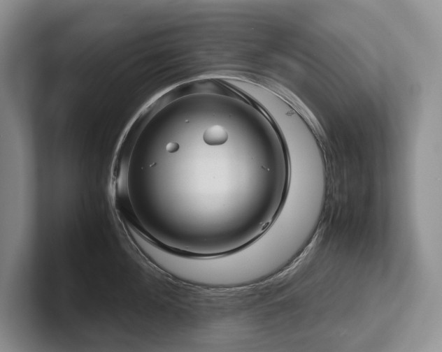 X0000102510908200808081407