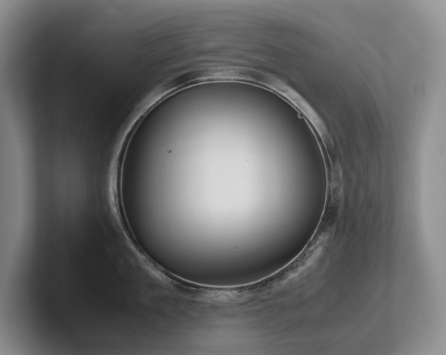 X0000102510909200808081407