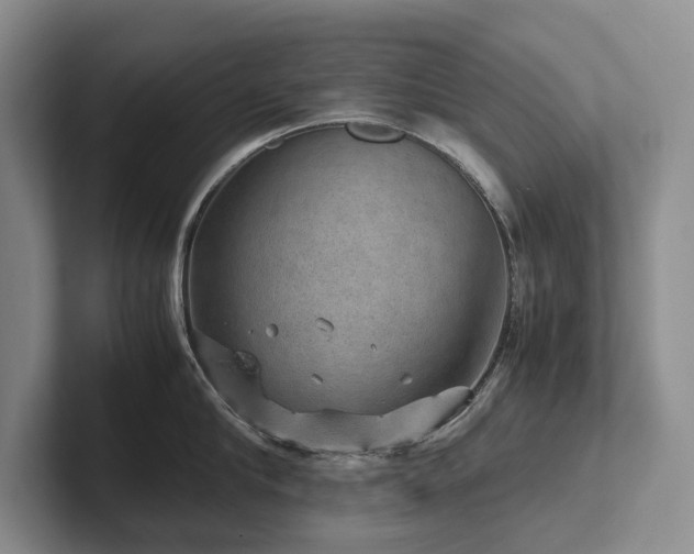 X0000102510910200808081407