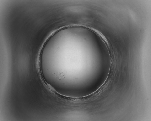 X0000102510911200808081407