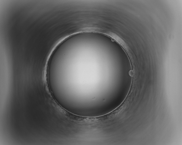 X0000102510912200808081407