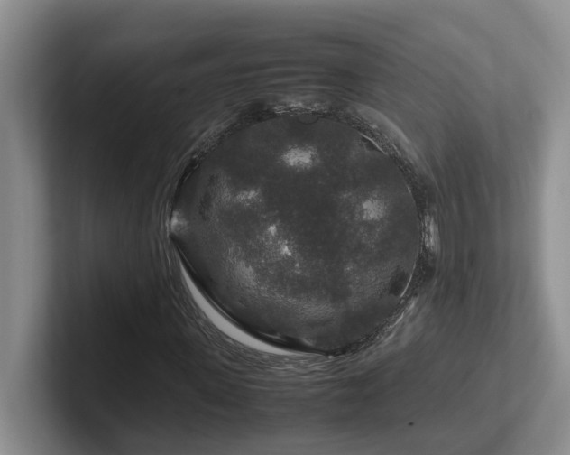 X0000102510915200808081407