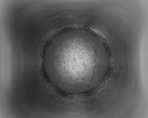 X0000102510917200808081407