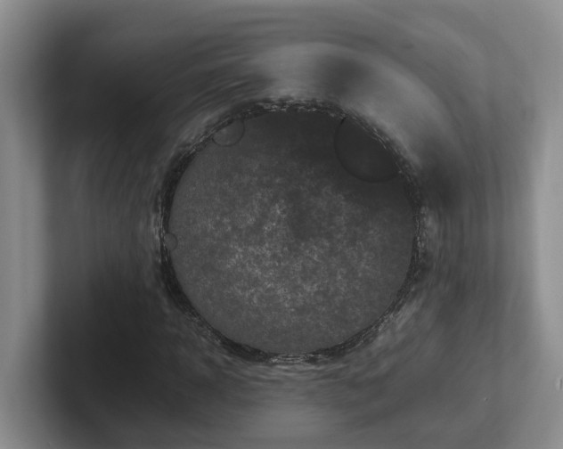 X0000102510918200808081407