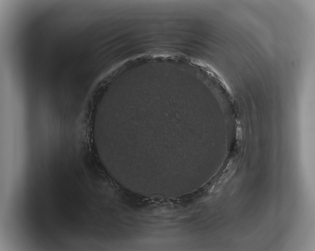 X0000102510919200808081407