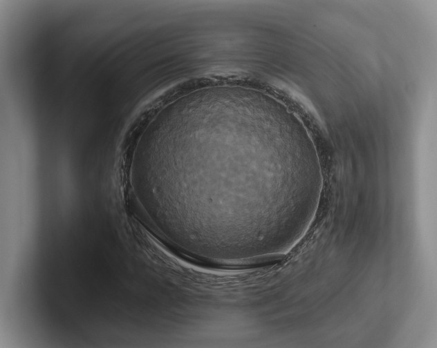 X0000102510920200808081407