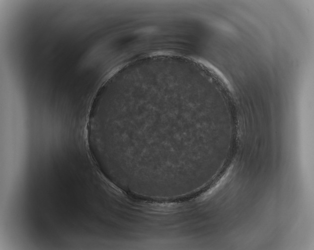 X0000102510921200808081407