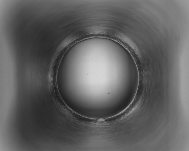 X0000102510922200808081407