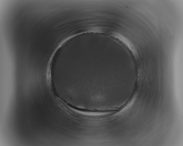 X0000102510923200808081407
