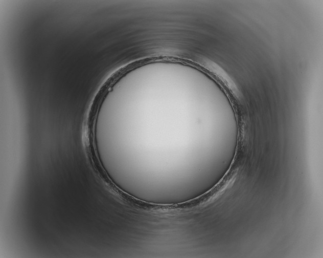 X0000102510924200808081407