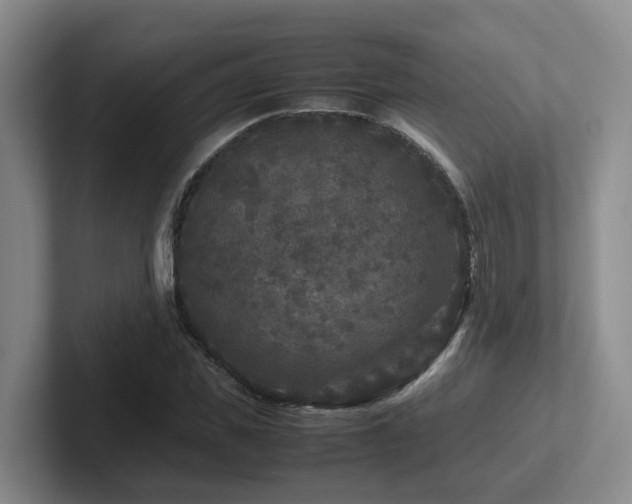 X0000102510925200808081407