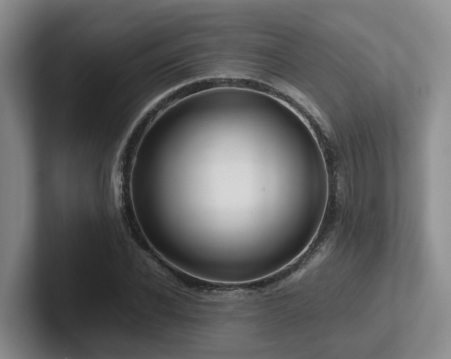 X0000102510926200808081407