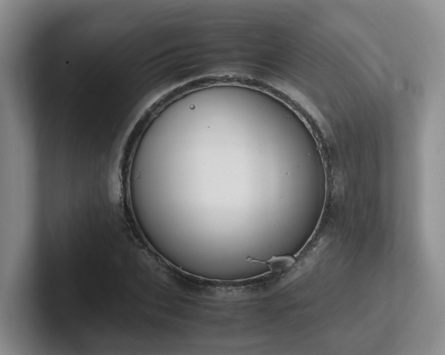 X0000102510927200808081407